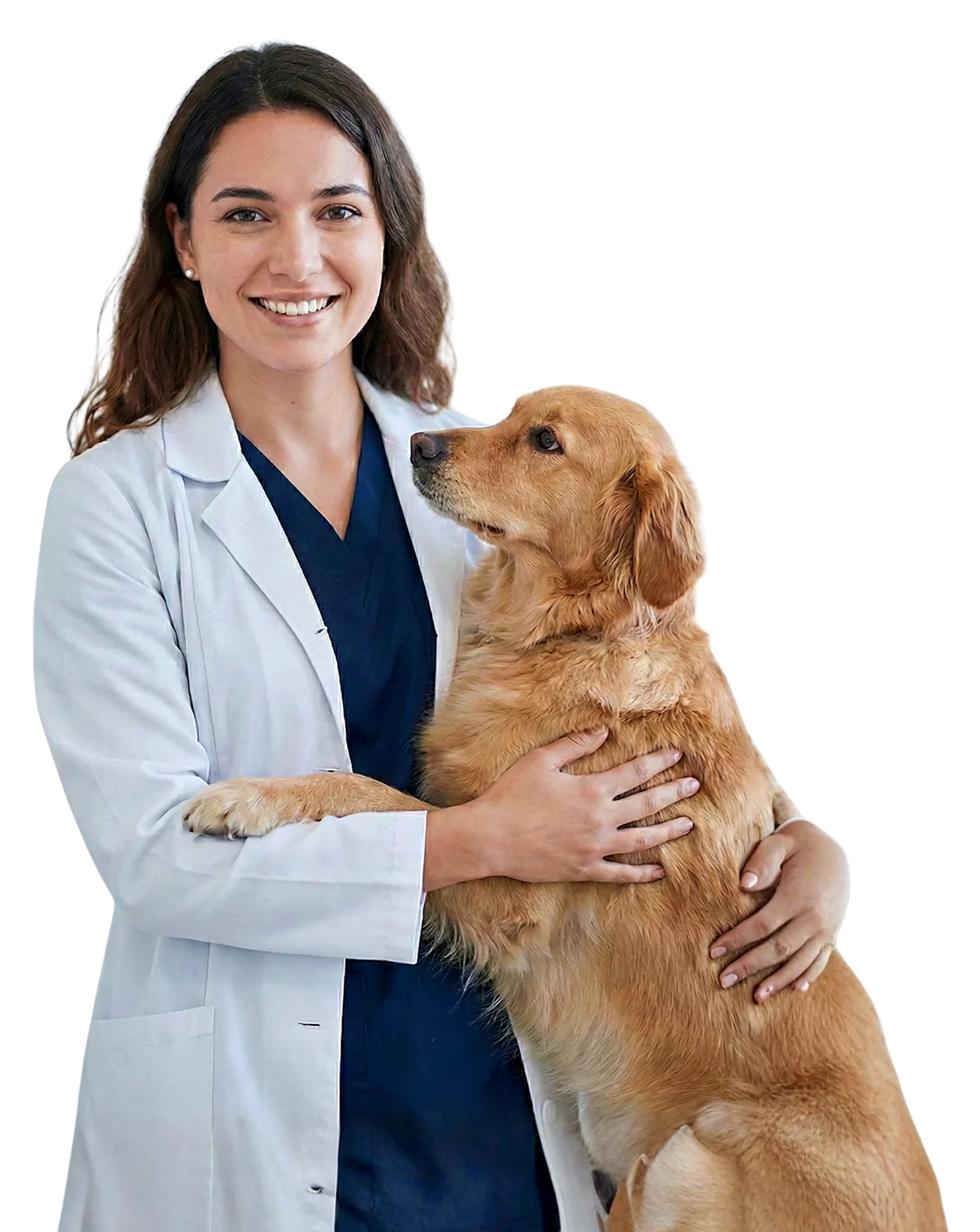 Veterinária abraçando um cachorro golden retriever