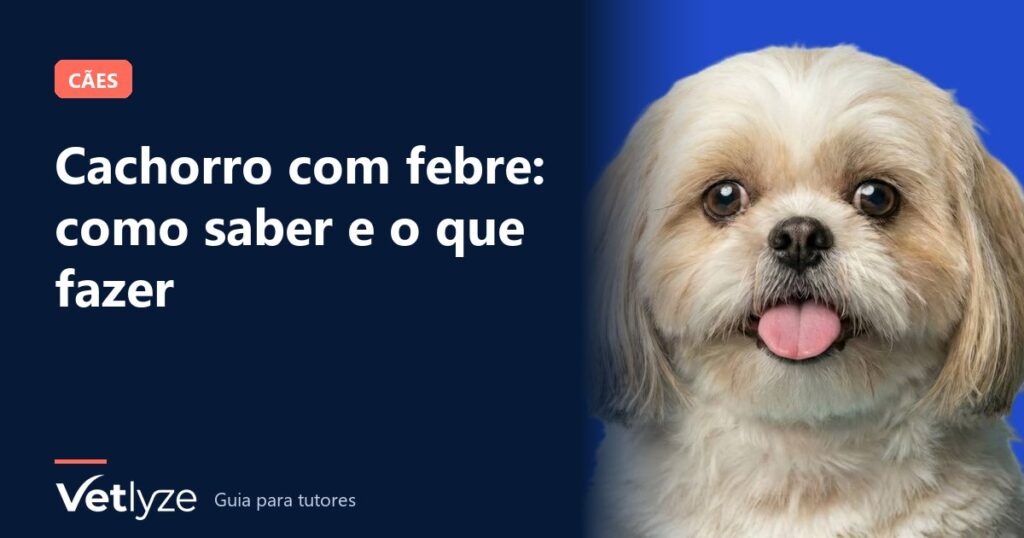 Cachorro com febre: como saber e o que fazer