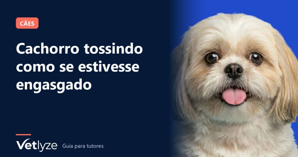Cachorro tossindo como se estivesse engasgado