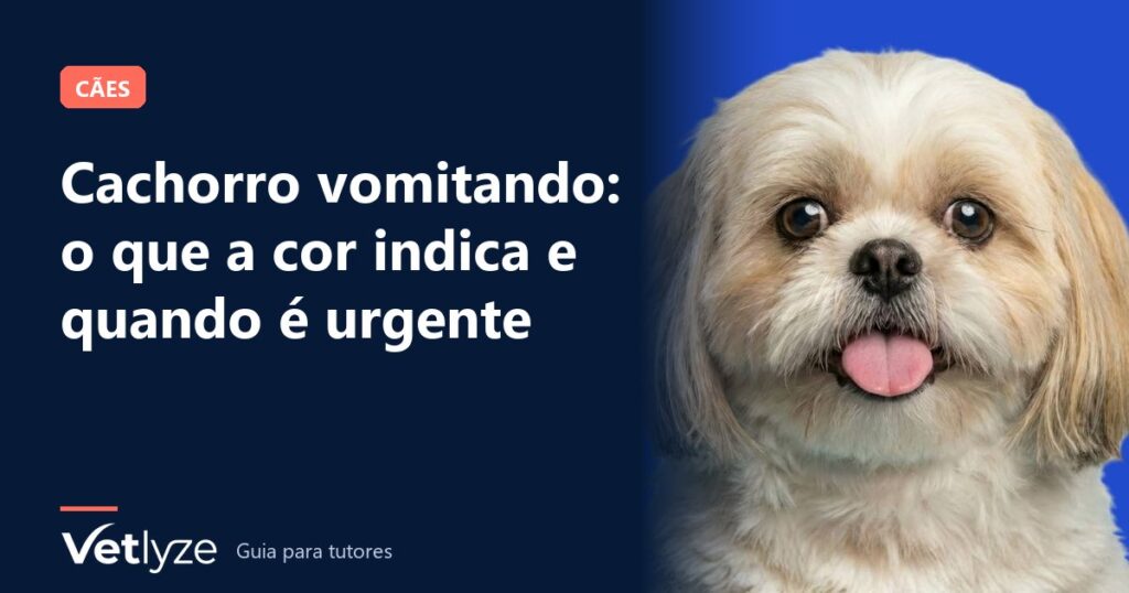 Cachorro vomitando: o que a cor indica e quando é urgente